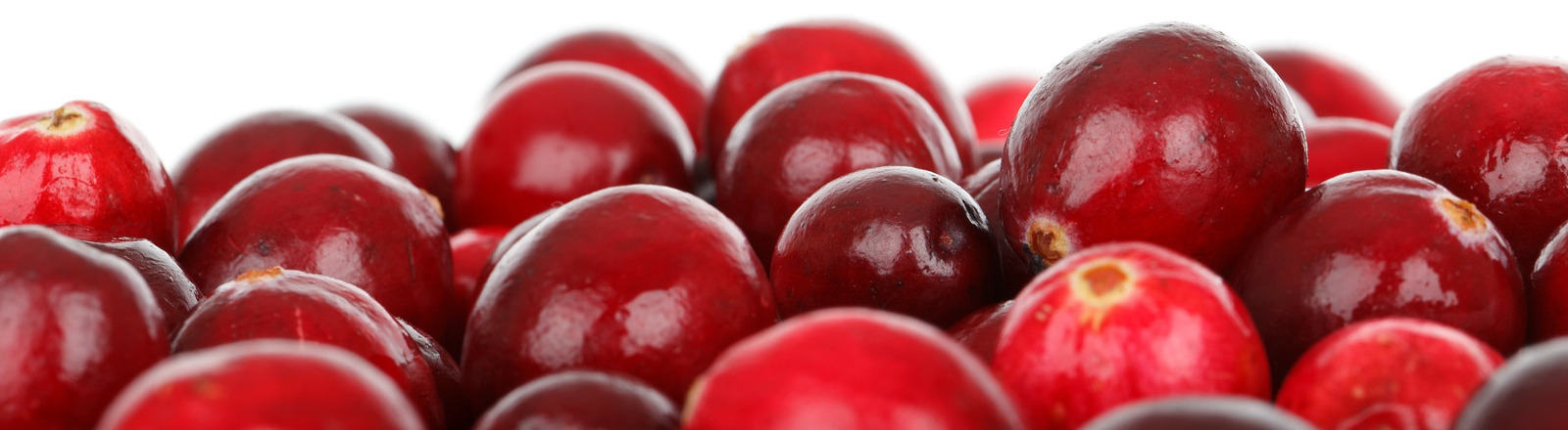 Urinary Tract Infections- Natural Help