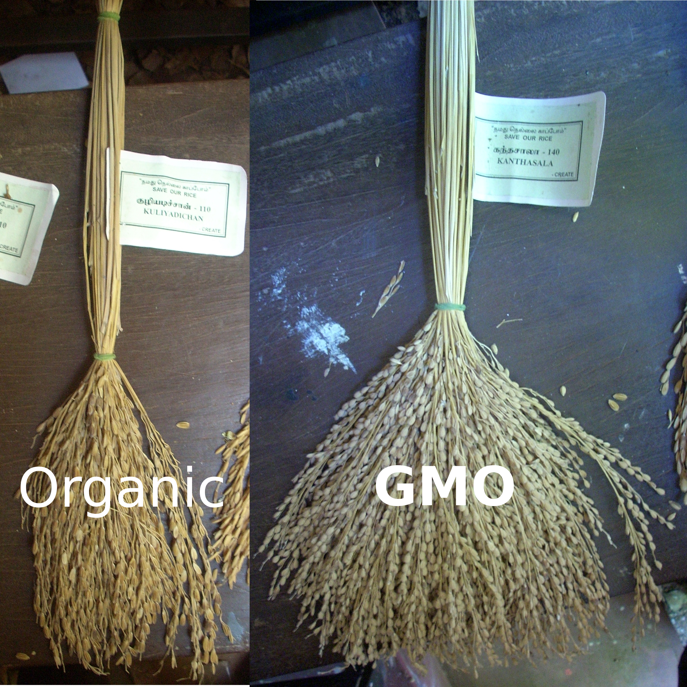 Organic Food, Still the Best Choice- read studies for yourself!