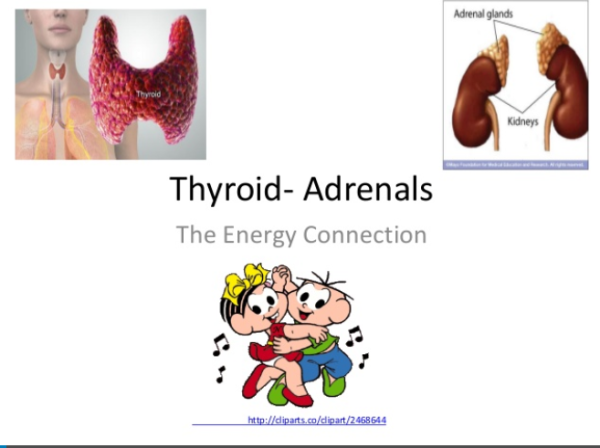 Thyroid Adrenals Natural Remedies