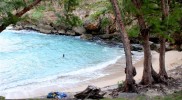 Jamaica-105