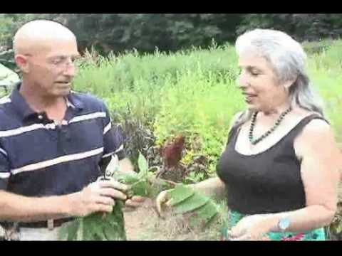 Got Sumac?