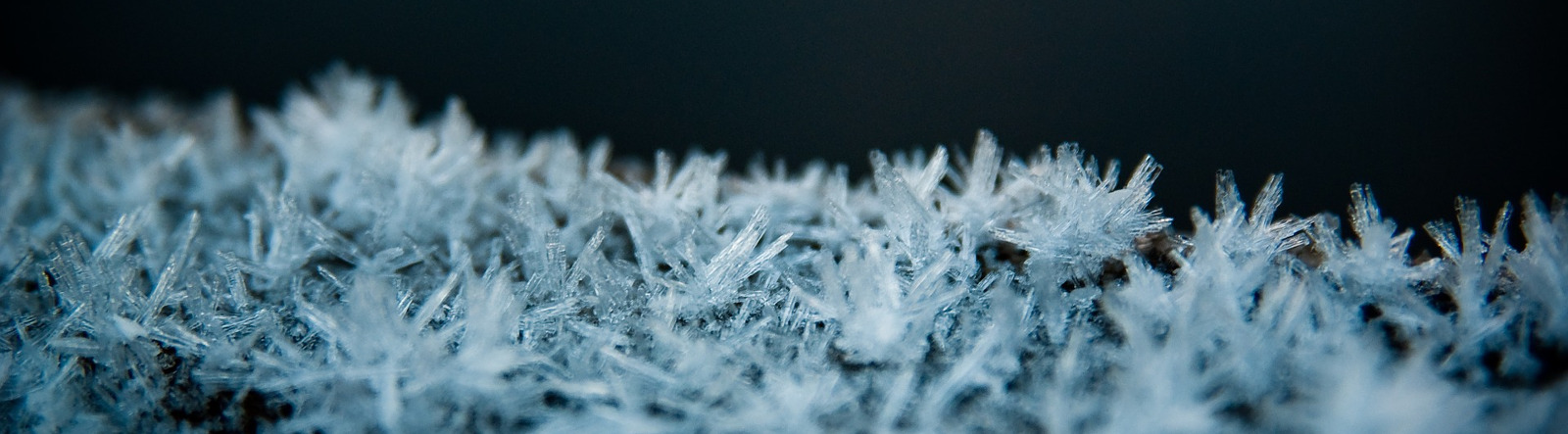 Crystallization Patterns a Key to the interaction between Energetic Essence and Biological Systems