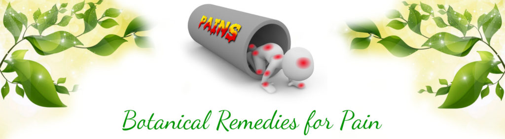 webinar botanical remedies for pain