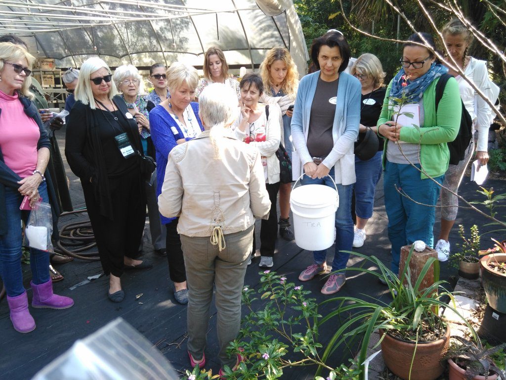 Ellen discussing wild plants