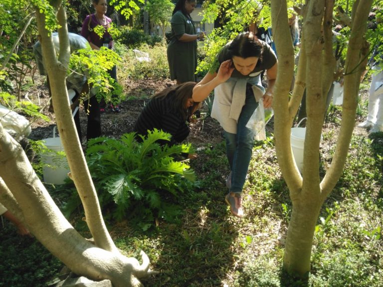 Herb Student Finding Plants