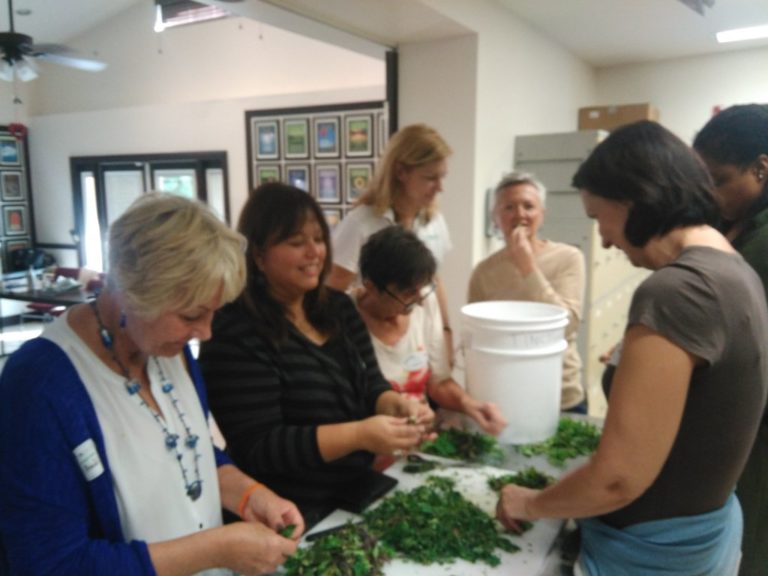Herbal Tea Processing